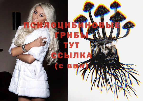 СК Усмань