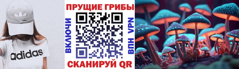 Галлюциногенные грибы Cubensis  Махачкала 