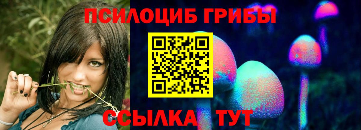 Псилоцибиновые грибы GOLDEN TEACHER Махачкала