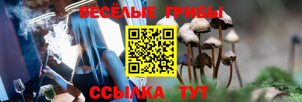 Махачкала  Псилоцибиновые грибы мицелий  купить наркоту  Вход с VPN 